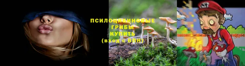 закладка  Воткинск  Псилоцибиновые грибы Magic Shrooms 